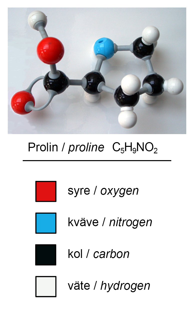 Molekylmodell med färgade atomer och färgnyckel