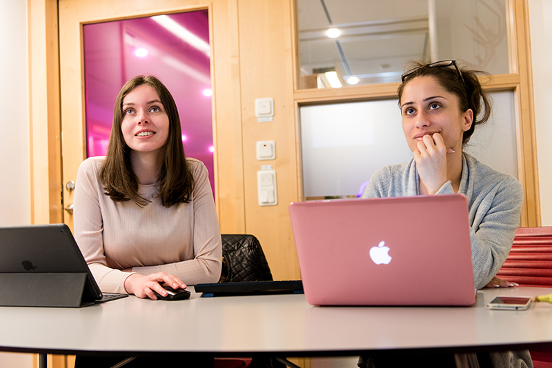 Bild på två studenter som studerar vid datorer i ett grupprum på biblioteket i Flemingsberg.