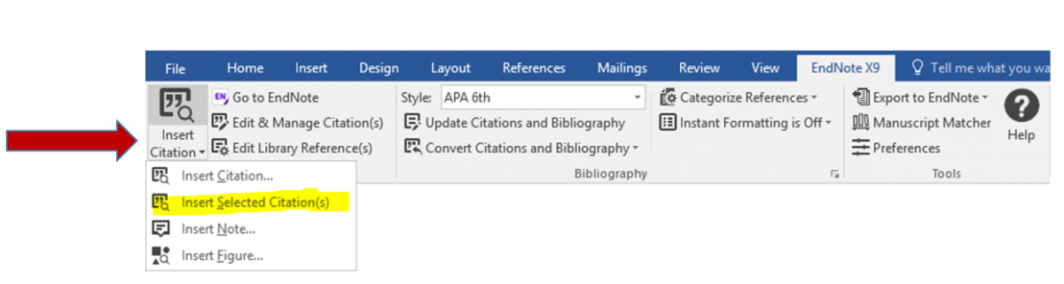 Endnote insert citations screenshot