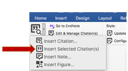Endnote Selected Citation(s) screenshot