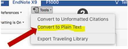 Endnote in Word Convert to Plain Text screenshot