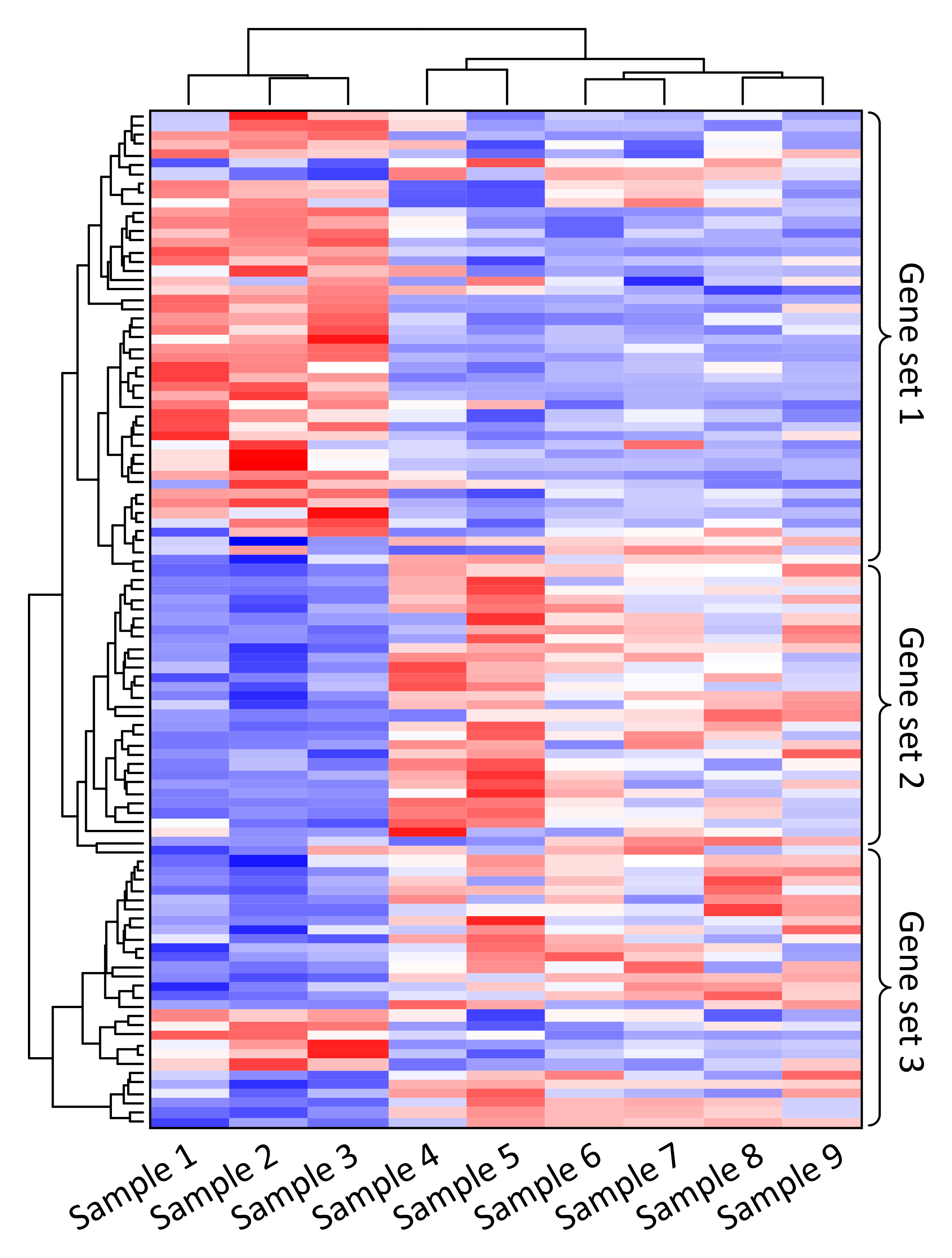 Heatmap identification of gene co-expression patterns across different samples