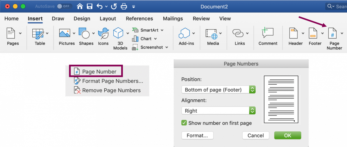 Page numbering screen shot