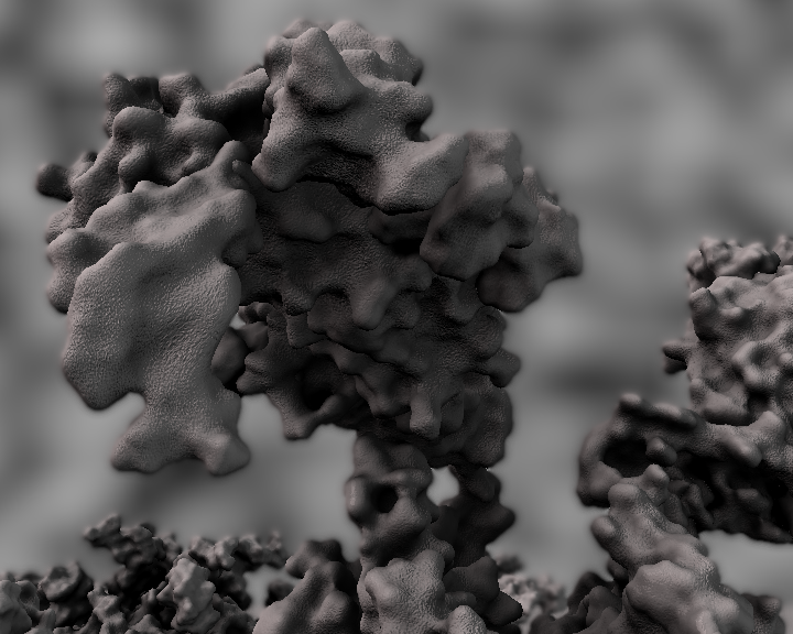 Close-up of TSH-receptor, monochrome rendered 3D-model