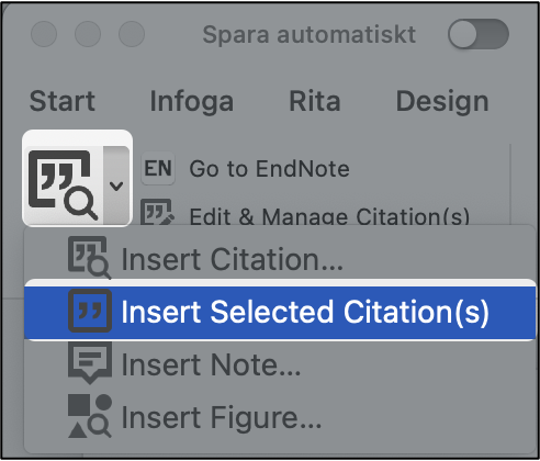 Endnote Selected Citation(s) screenshot