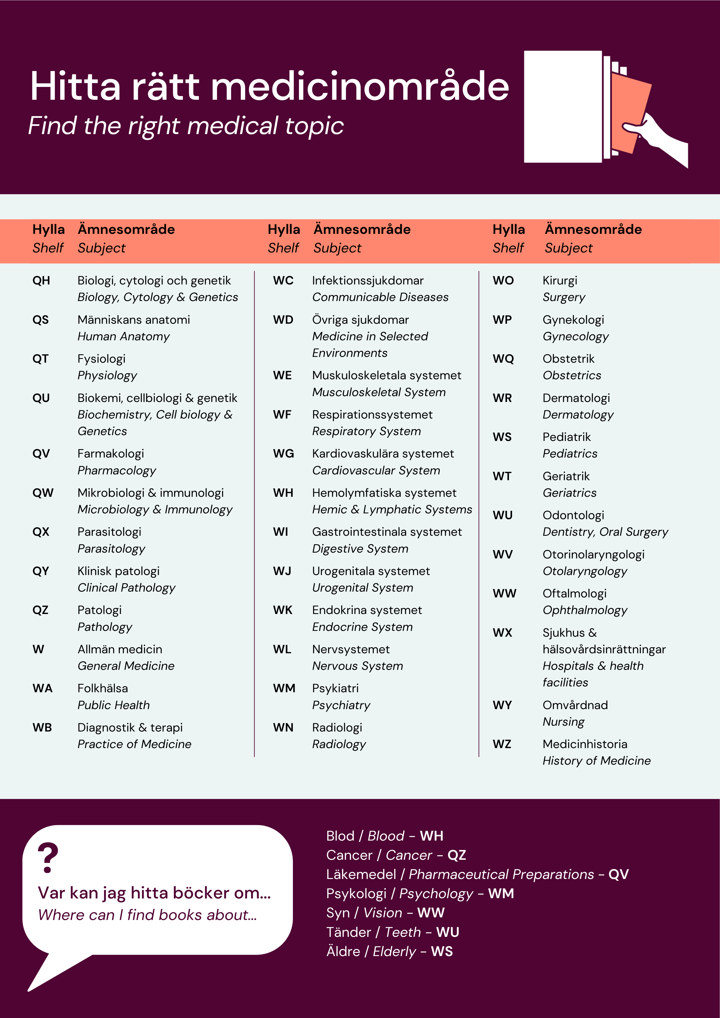 A guide for the NLM system at KIB