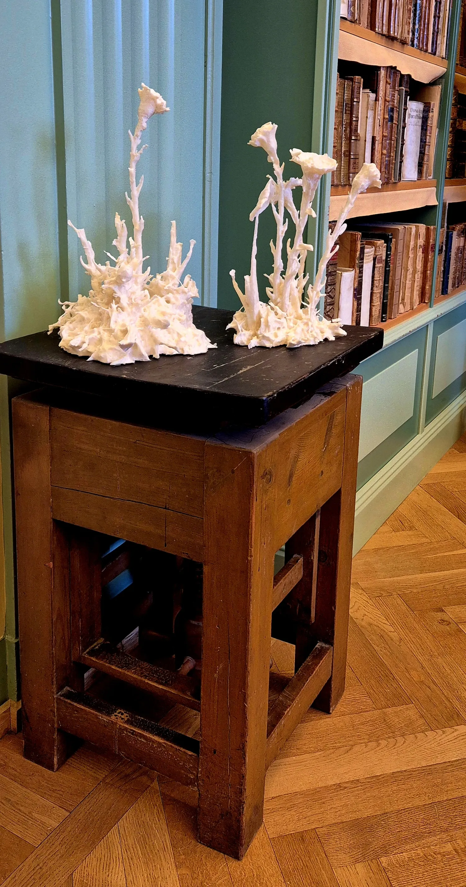 Object in the Hagströmer Library