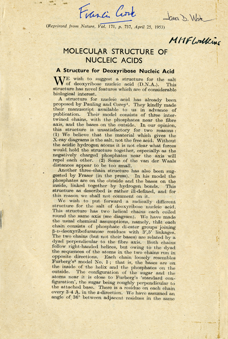 WATSON & CRICK, A Structure for Deoxyribose Nucleic Acid. In: Nature 171 (Vol. 171, No. 4356, April 25, 1953)