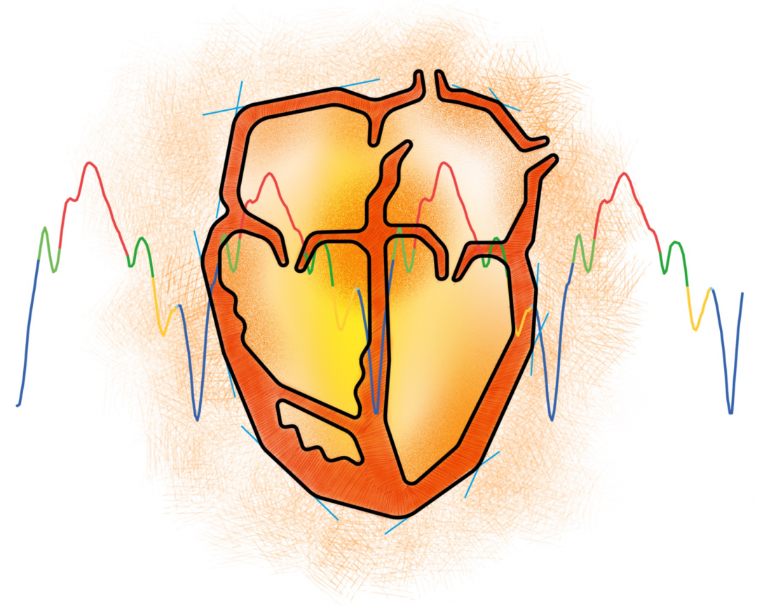 Illustration Bildmakarna. Heart of an infant.