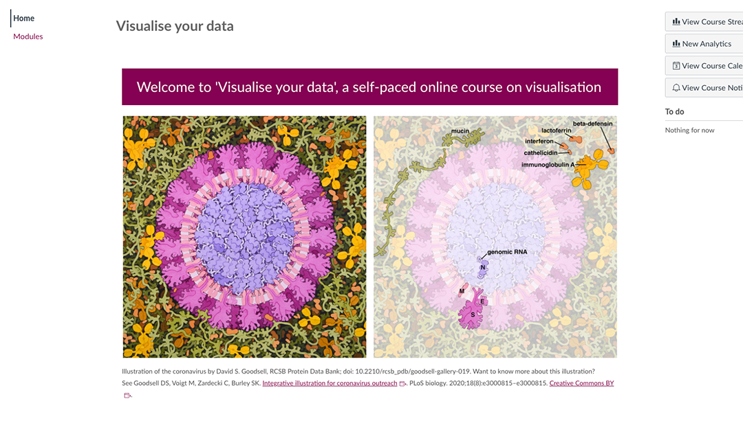 Screenshot of Canvas startpage for the open course Visualise your data.